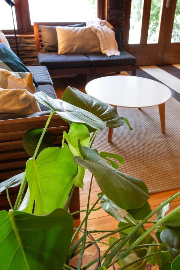 River House Vasa 贝尔格莱德 外观 照片
