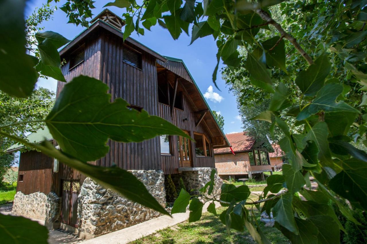 River House Vasa 贝尔格莱德 外观 照片